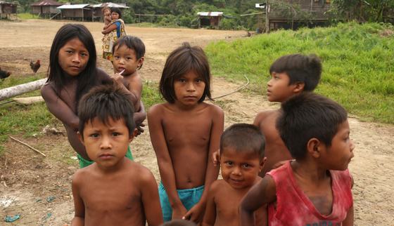 RS20731_201126_WCH_CO_Choco_CDCP_Seeds_02-lpr.JPG